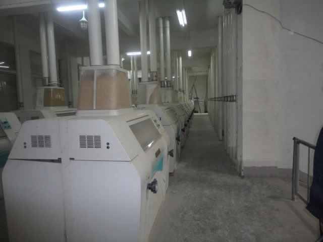 200噸樓層式大型面粉機磨粉設備